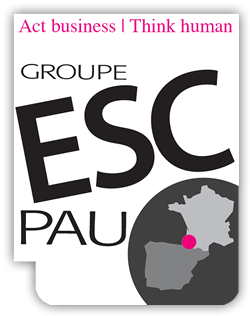 Stage Tage Mage pour intégrer ESC Pau